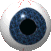 Following Image